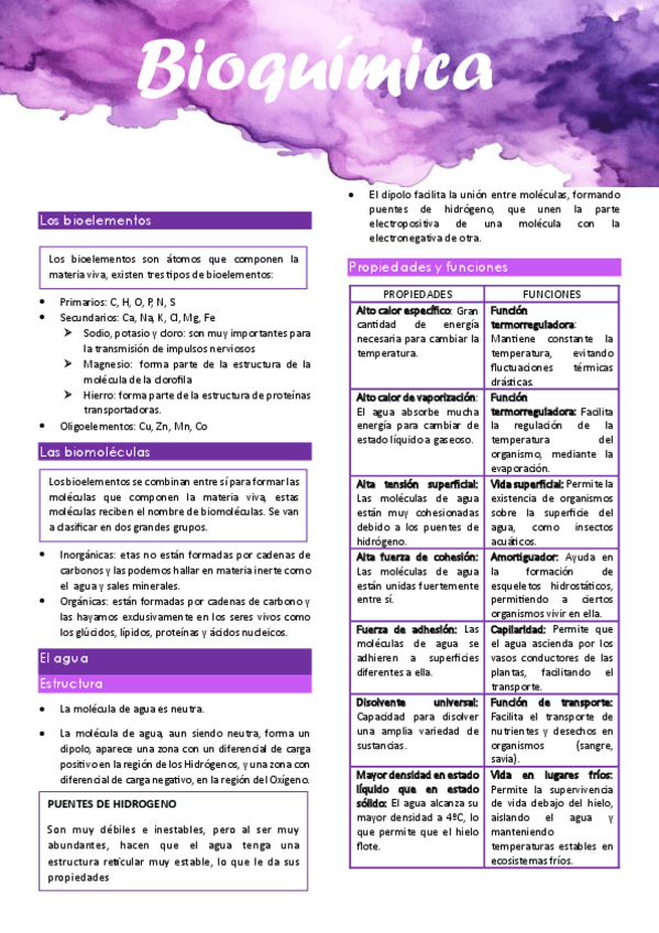 Miniatura del documento Bioquimica.pdf