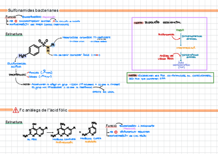 Miniatura del documento Resum-Post-Parcial.pdf