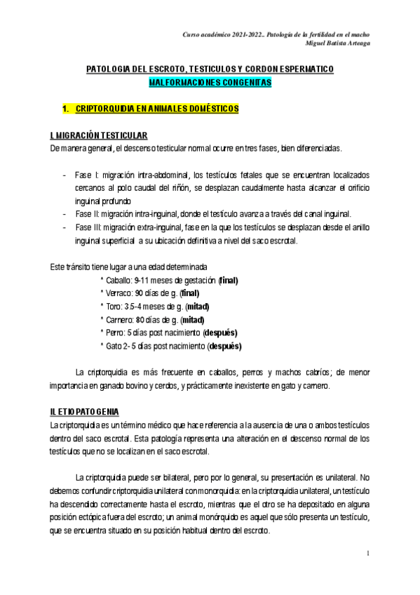 Miniatura del documento 13.-Patologia-de-la-fertilidad-en-el-macho.pdf