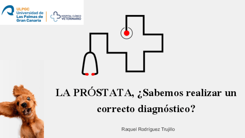 Miniatura del documento Patologia-de-la-PROSTATA.pdf