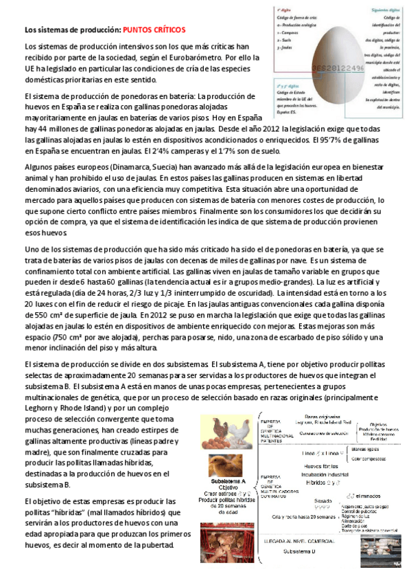 Miniatura del documento Bienestar-apuntes-II.pdf