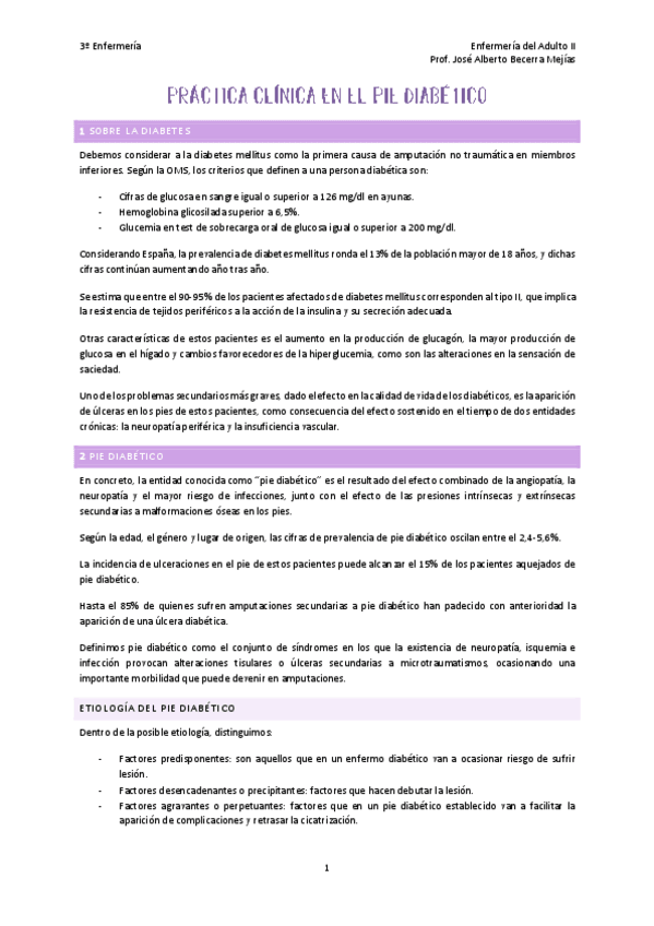 Miniatura del documento PRACTICA-BECERRA.pdf