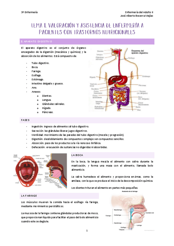 Miniatura del documento TEMA-2-ADULTO-BECERRA.pdf