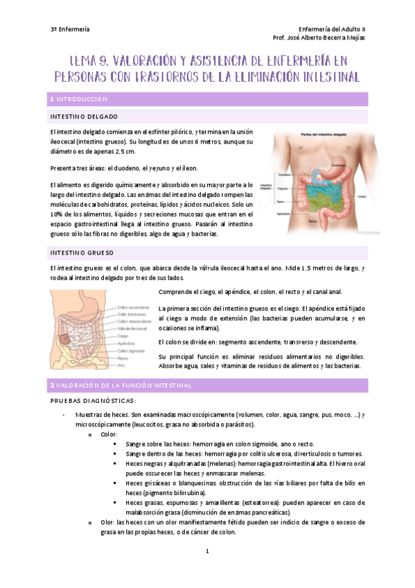 Miniatura del documento TEMA-9-BECERRA.pdf