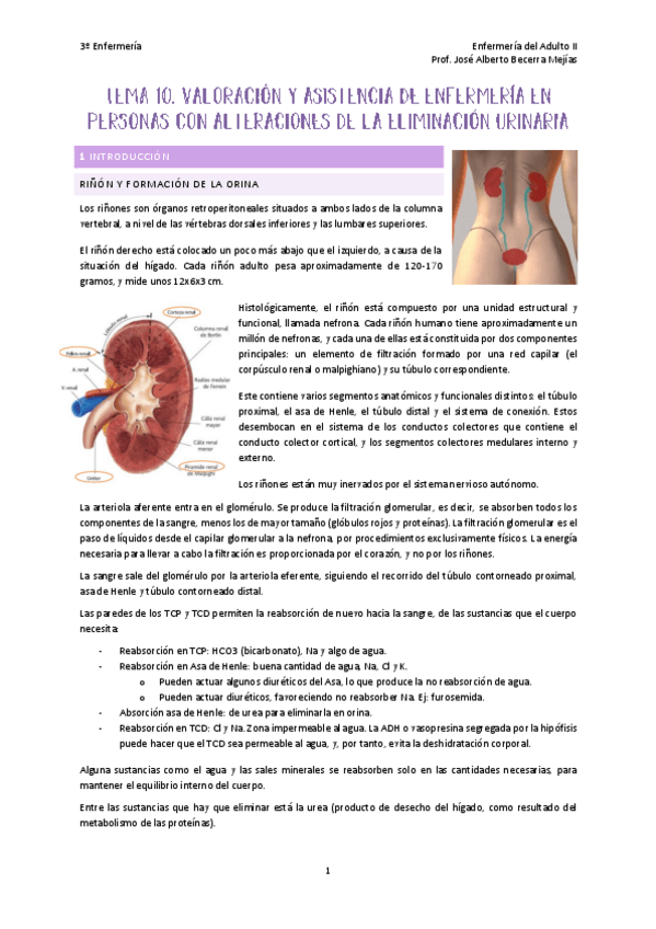 Miniatura del documento TEMA-10-BECERRA.pdf