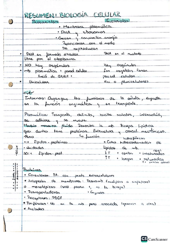 Miniatura del documento Resumen-Biocel.pdf