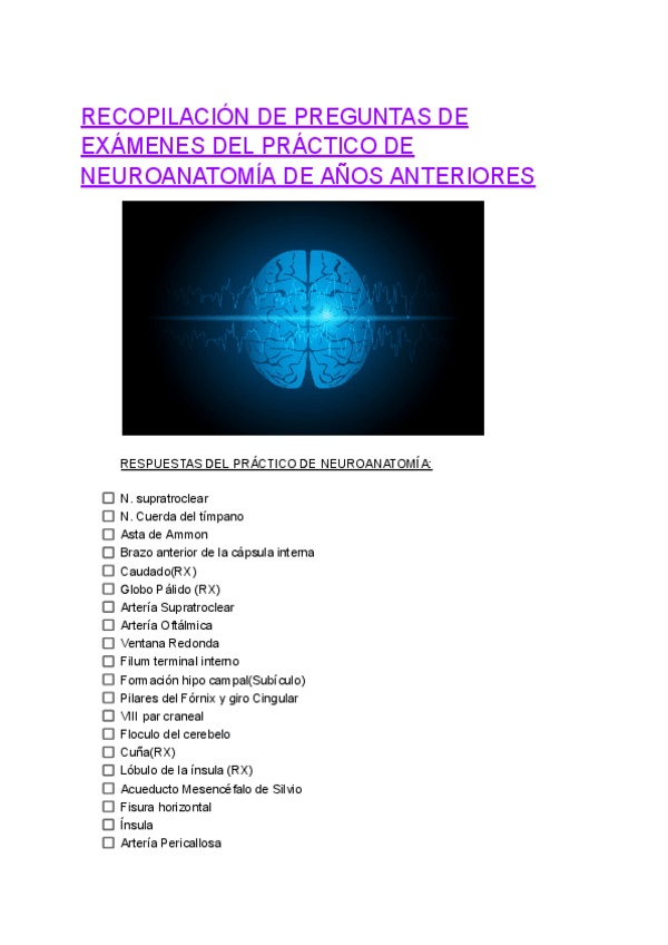 Miniatura del documento respuestas-practico-de-neuroanatomia.pdf