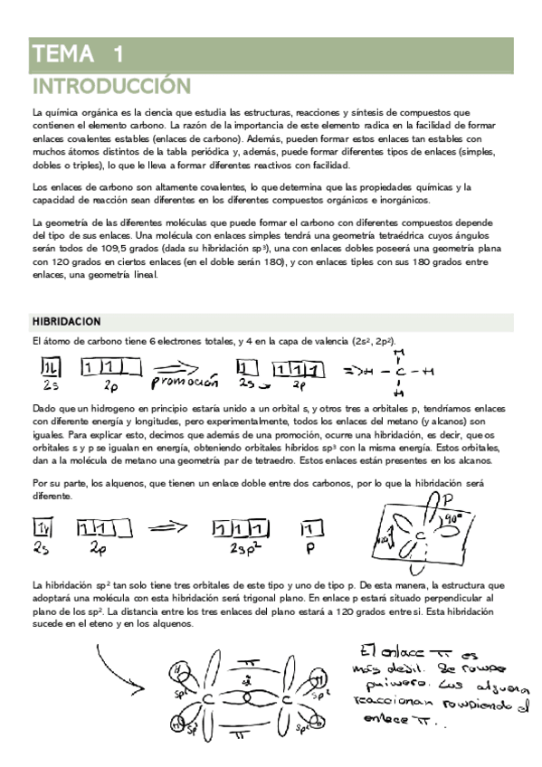 Miniatura del documento TEMA-1-INTRODUCCION.pdf