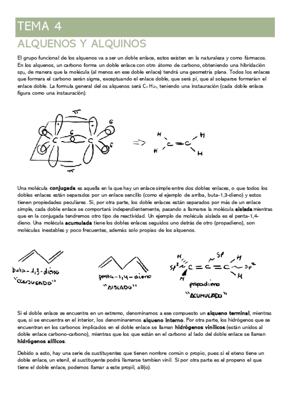 Miniatura del documento TEMA-4-ALQUENOS-Y-ALQUINOS.pdf
