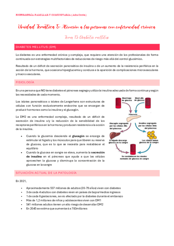Miniatura del documento UT5.-Tema-13-Diabetes-mellitus.pdf