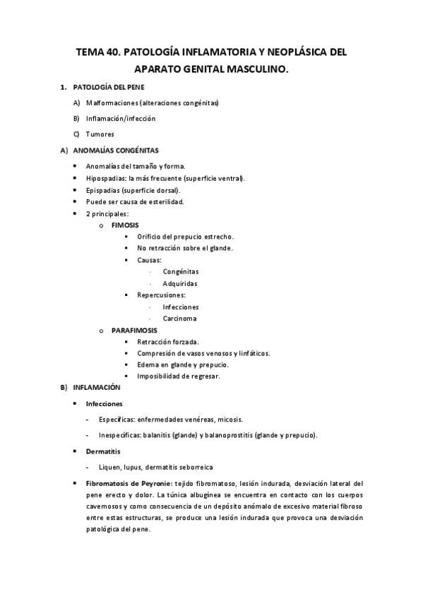 Miniatura del documento Tema 40.pdf