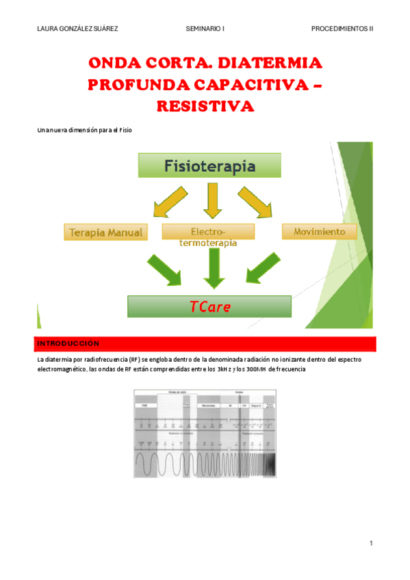 Miniatura del documento SEMINARIO-I-PROCEII.pdf