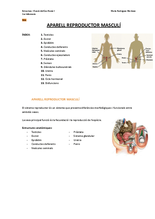 Miniatura del documento Bloc-III-2.-Aparell-reproductor-i-getacio-masculi.pdf
