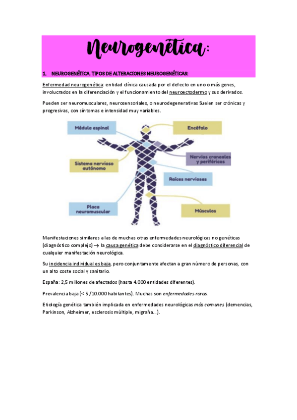 Miniatura del documento TEMA8NEUROGENETICA.pdf