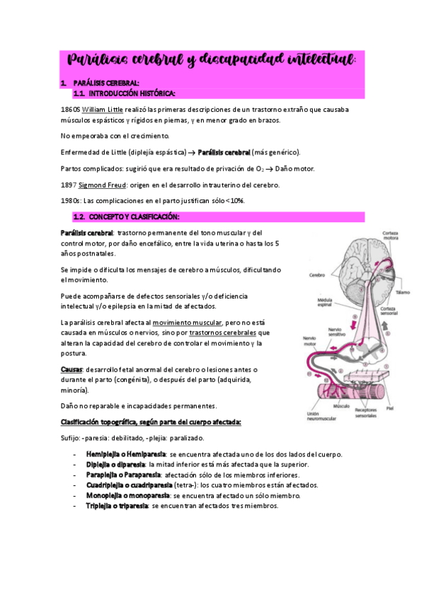 Miniatura del documento TEMA9PARALISISCEREBRALYDISCAPACIDADINTELECTUAL.pdf