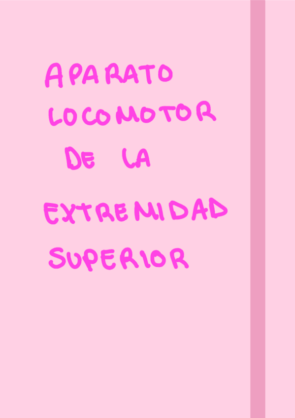 Miniatura del documento Miembro-superior.pdf