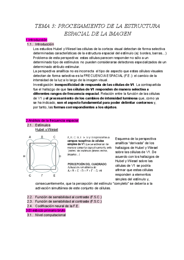 Miniatura del documento TEMA-3-PROCESAMIENTO-DE-LA-ESTRUCTURA-ESPACIAL-DE-LA-IMAGEN.pdf