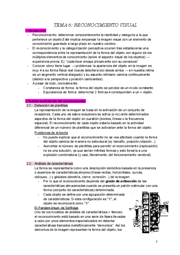 Miniatura del documento TEMA-6-RECONOCIMIENTO-VISUAL.pdf