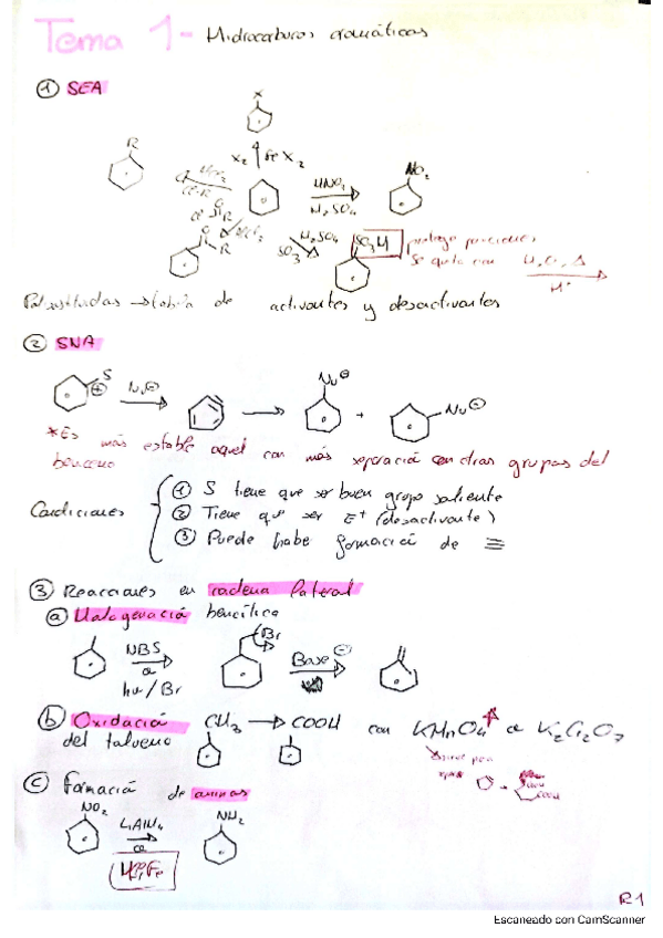 Miniatura del documento QOII-Resumen-explicado-todos-los-temas.-Examen-final.pdf