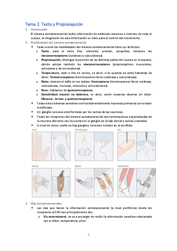 Miniatura del documento TEMA-2-FISIOLOGIA-MEDICA-I.pdf
