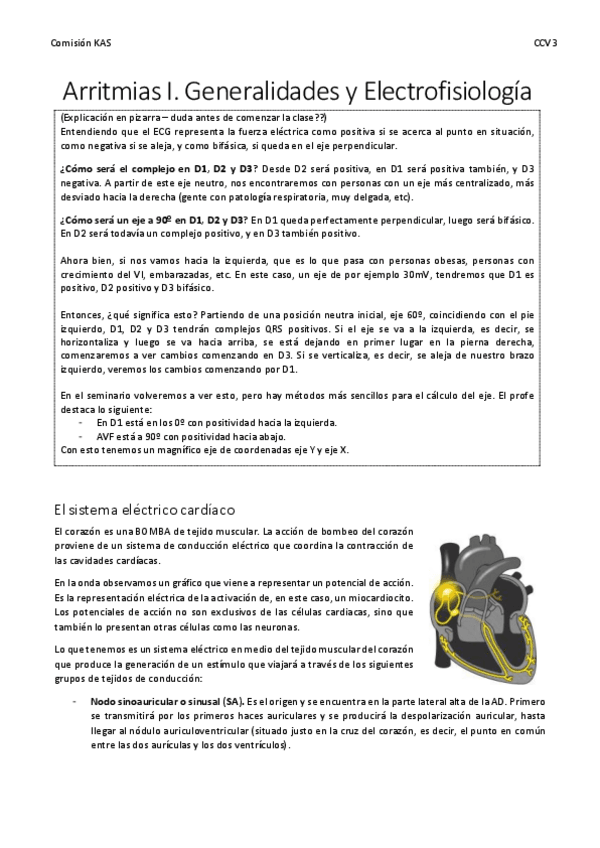 Miniatura del documento CCV3.-Arritmias-I.-Generalidades-y-Electrofisiologia.pdf