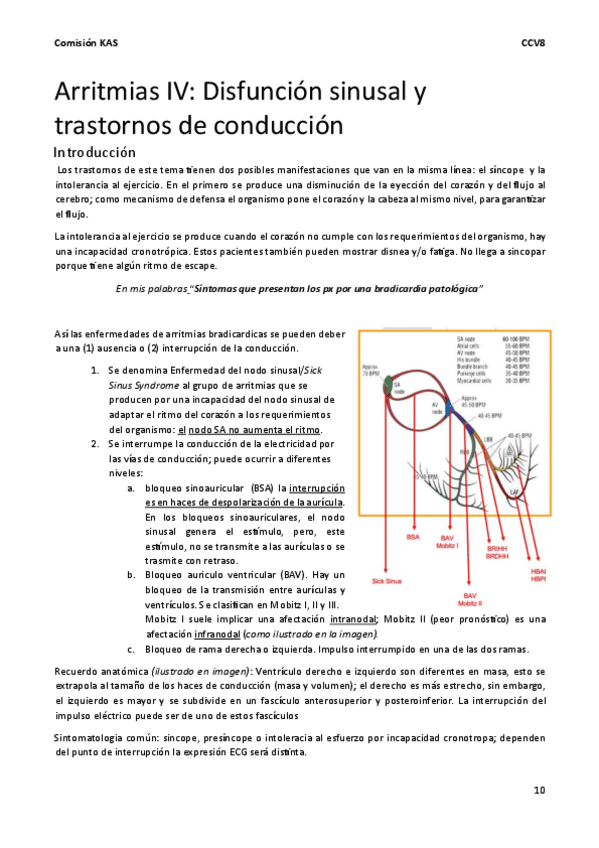 Miniatura del documento CCV8.-Arritmias-IV.pdf