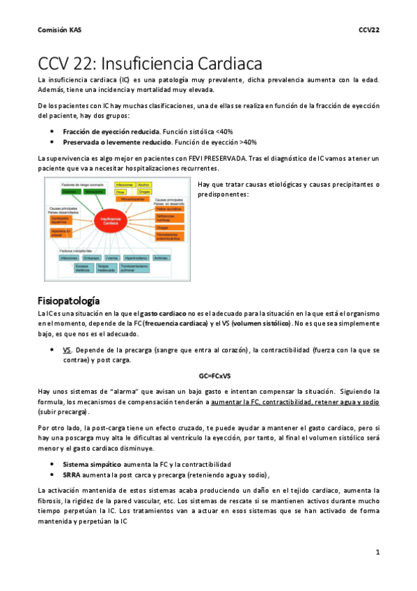 Miniatura del documento CCV22-IC.pdf