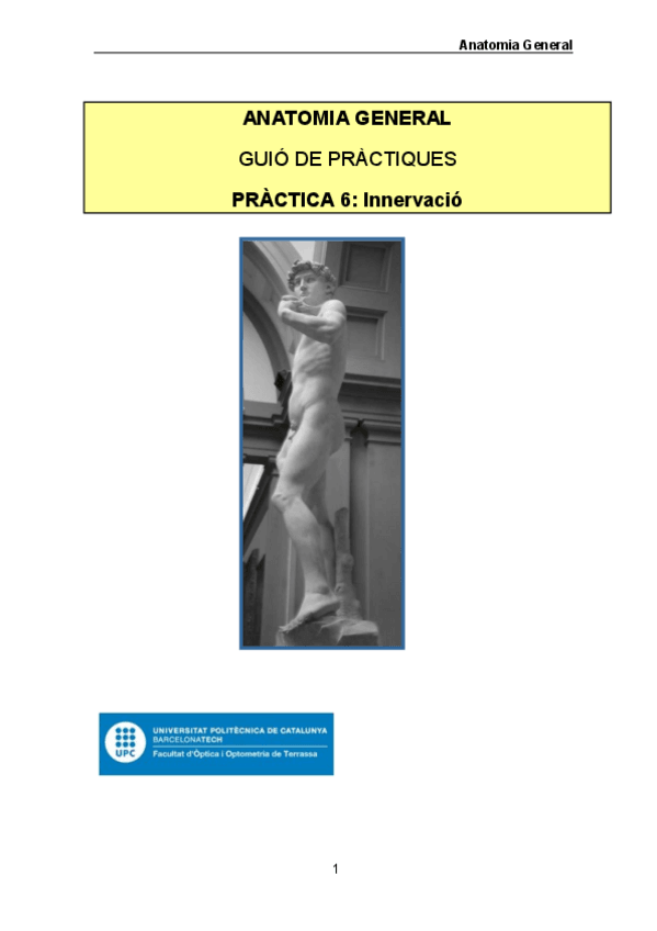 Miniatura del documento Practica-5-AG-nervios-cat.pdf