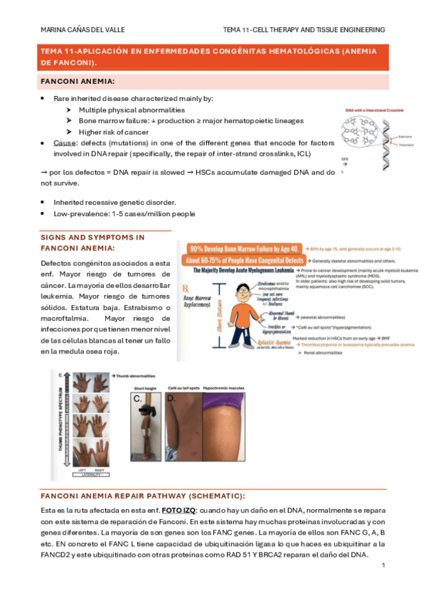 Miniatura del documento TEMA-11-Aplicacion-en-enfermedades-congenitas-hematologicas-anemia-de-Fanconi..pdf