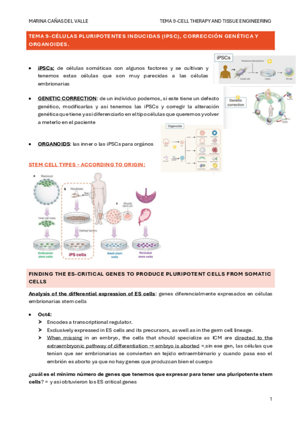Miniatura del documento TEMA-9-Celulas-pluripotentes-inducidas-iPSC-correccion-genetica-y-organoides..pdf