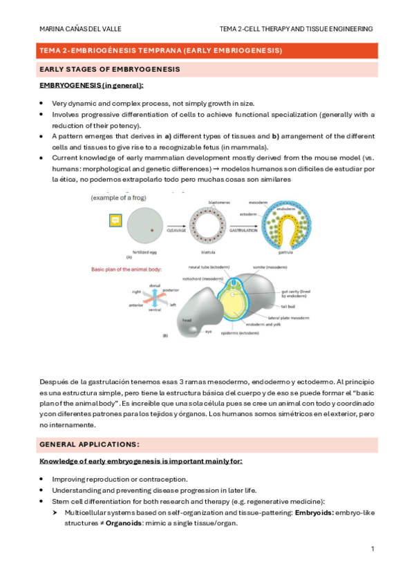 Miniatura del documento TEMA-2-Embriogenesis-temprana..pdf