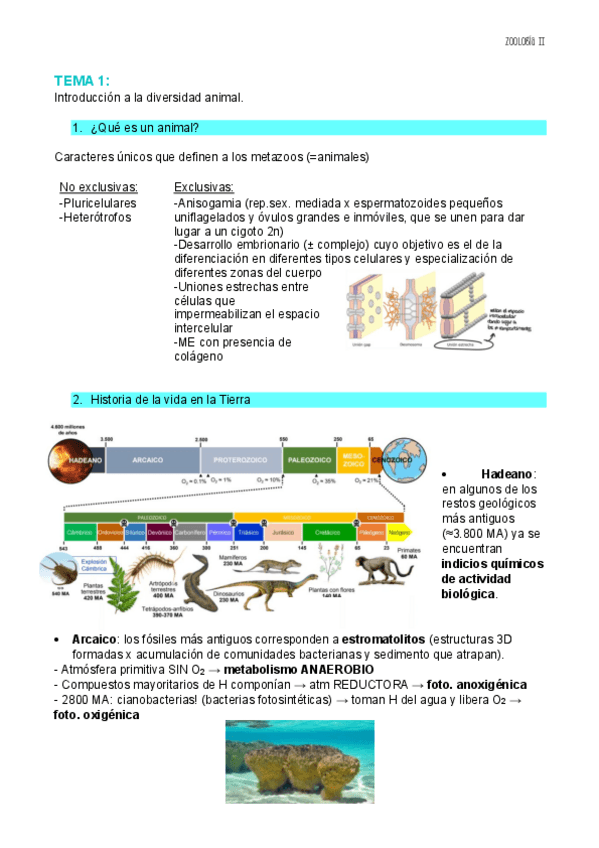 Miniatura del documento TEMA-1-ZOO-II.pdf