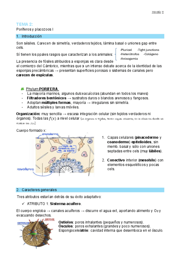 Miniatura del documento TEMA-2-ZOO-II.pdf