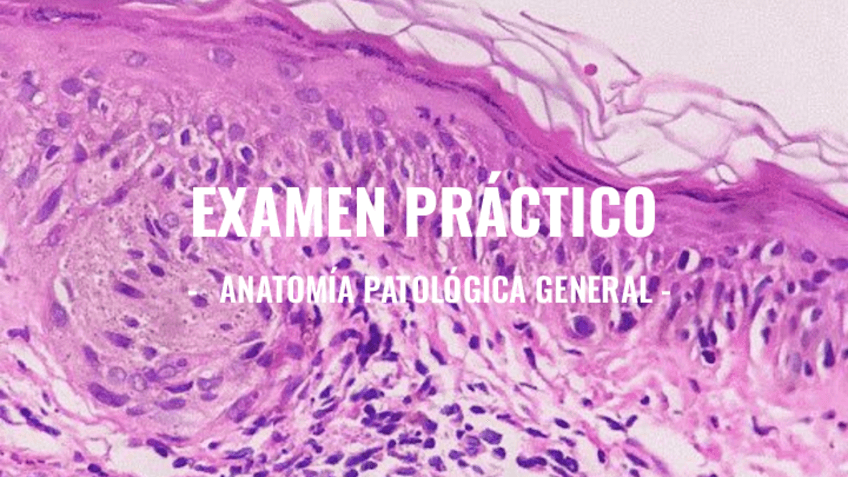 Miniatura del documento Practico-APG.pdf