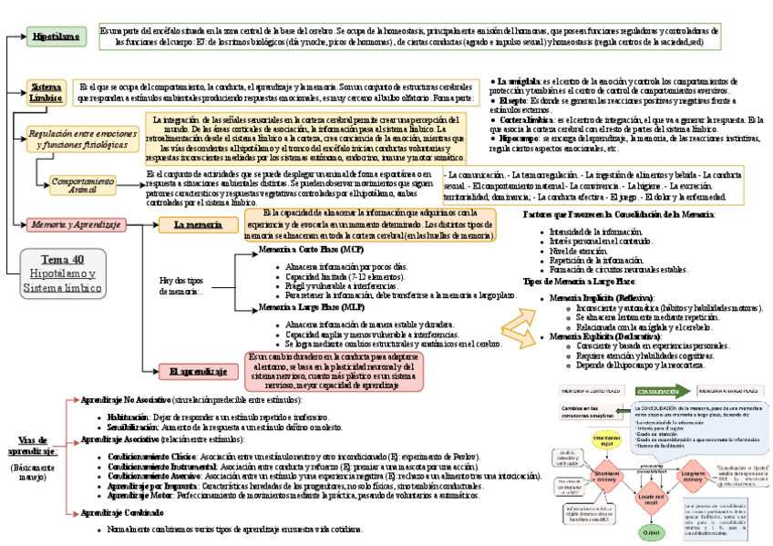 Miniatura del documento Tema-40-esquema.pdf