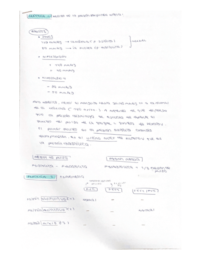 Miniatura del documento PRACTICAS-FISIO-2.pdf