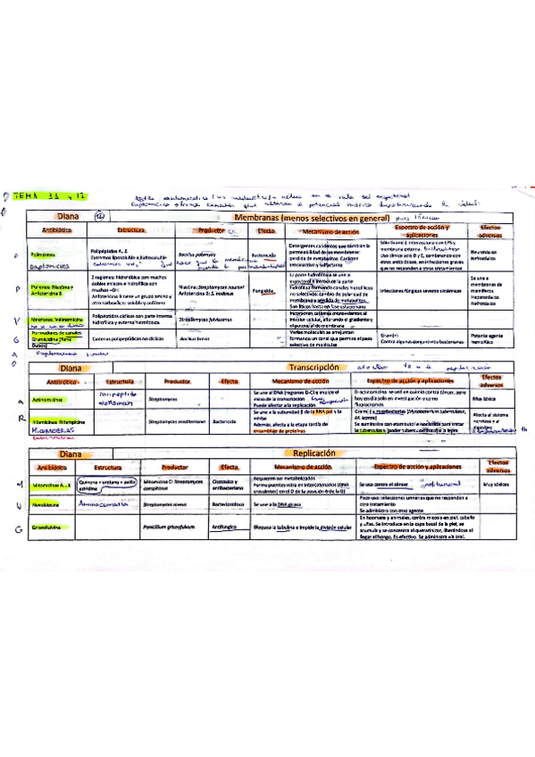Miniatura del documento Tabla-antibioticos.pdf
