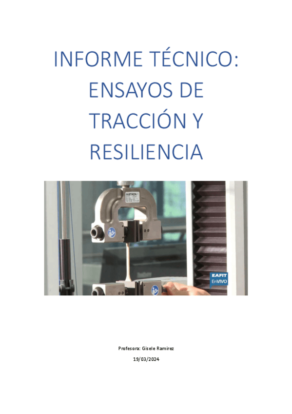 Miniatura del documento INFORME-TECNICO-CTM.pdf
