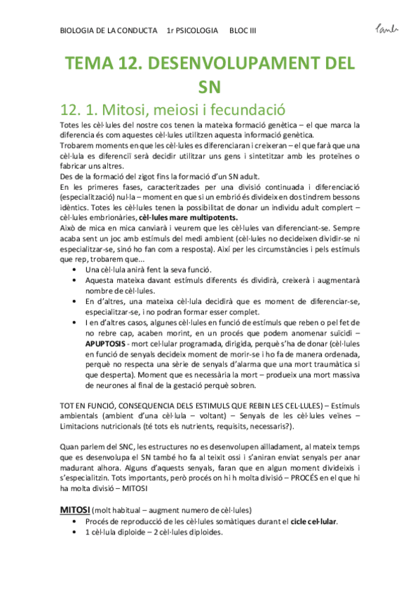 Miniatura del documento BIO - TEMA 12. DESENVOLUPAMENT DEL SN (Psicologia UB 1r).pdf