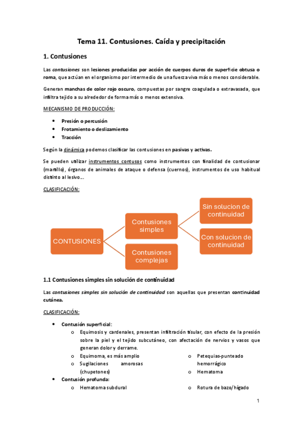 Miniatura del documento Tema-11.-Contusiones.-Caida-y-precipitacion.pdf