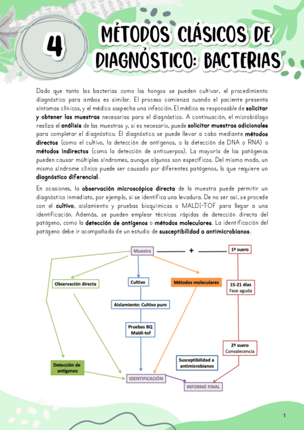 Miniatura del documento Tema-4.-Metodos-clasicos-de-diagnostico-bacterias.pdf