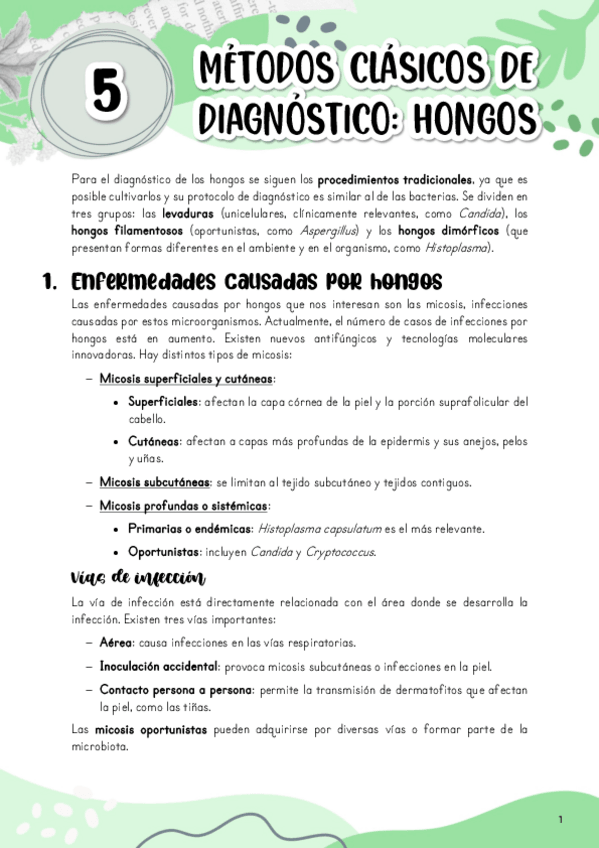 Miniatura del documento Tema-5.-Metodos-clasicos-de-diagnostico-hongos.pdf