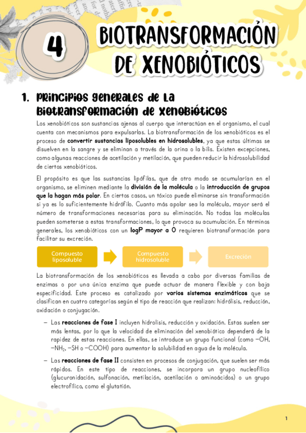 Miniatura del documento Tema-4.-Biotransformacion-de-xenobioticos.pdf