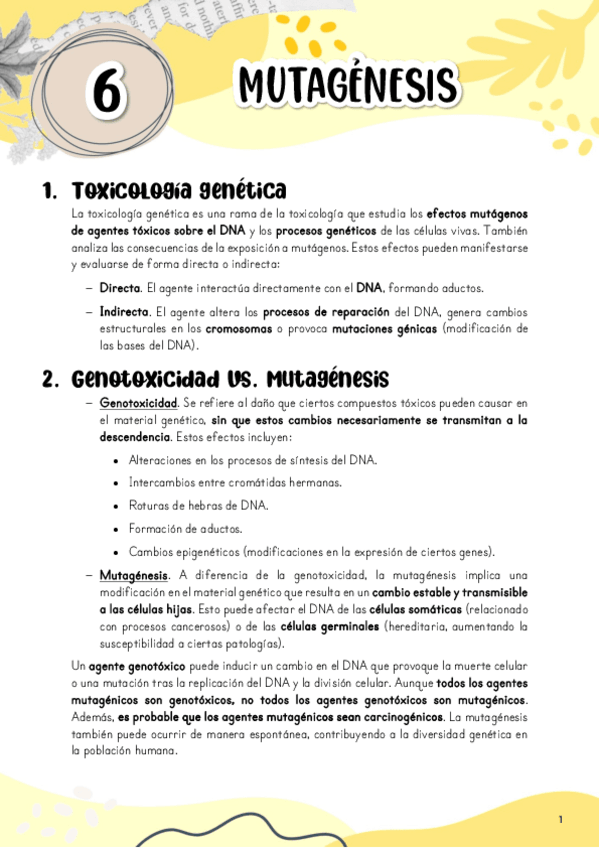 Miniatura del documento Tema-6.-Mutagenesis.pdf
