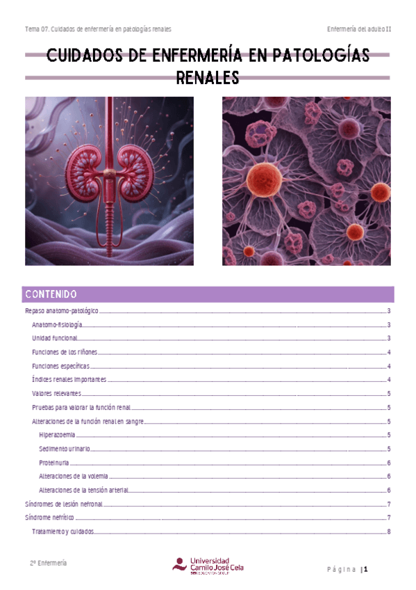 Miniatura del documento Resumen.-Cuidados-de-enfermeria-en-patologias-renales.pdf