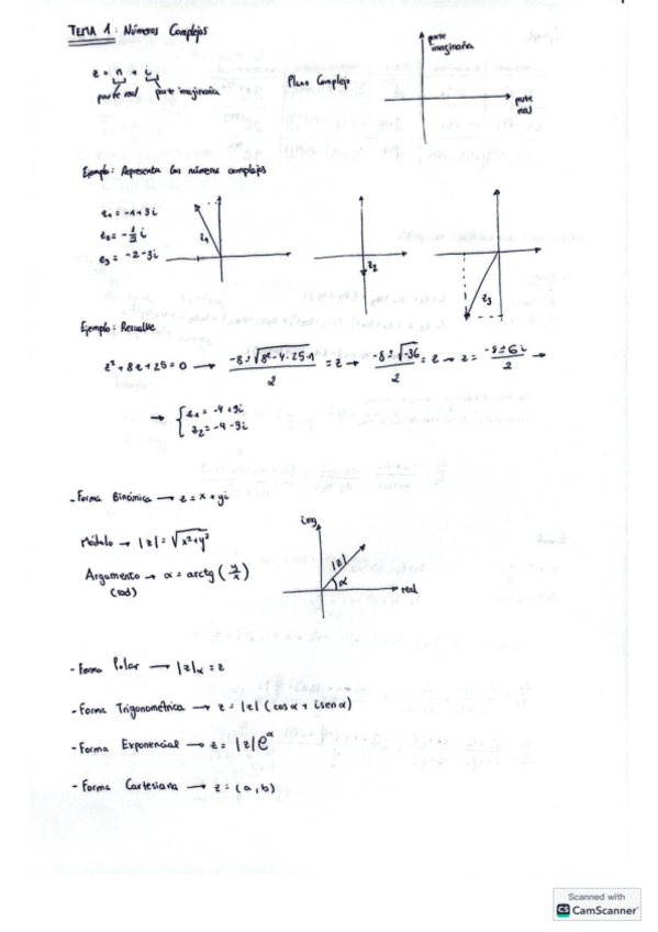Miniatura del documento APUNTES-COMPLETOS-CON-EJERCICIOS-PRIMERA-PARTE.pdf