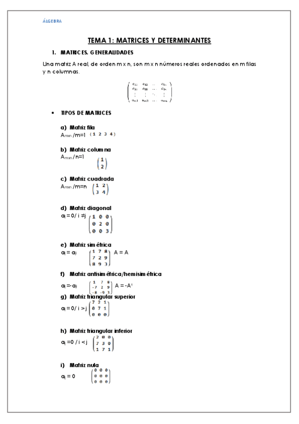 Miniatura del documento APUNTES TEMA 1 MATRICES Y DETERMINANTES.pdf
