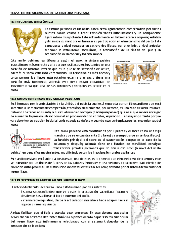 Miniatura del documento tema-18-biomec.pdf
