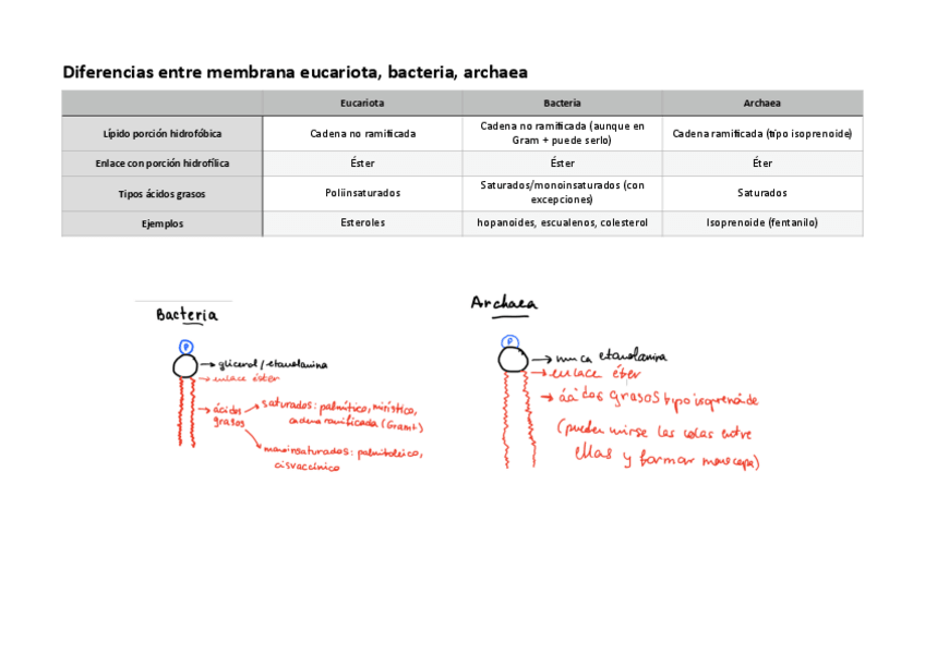 Miniatura del documento miscelanea.pdf