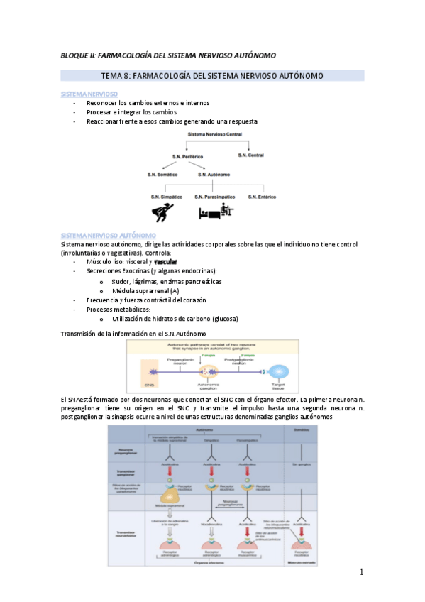 Miniatura del documento BLOQUE-2-temas-8-9-10-y-11-y-3-temas-12A-12B-13-14-15-16-y-17-FARMACOLOGIA-pdf.pdf
